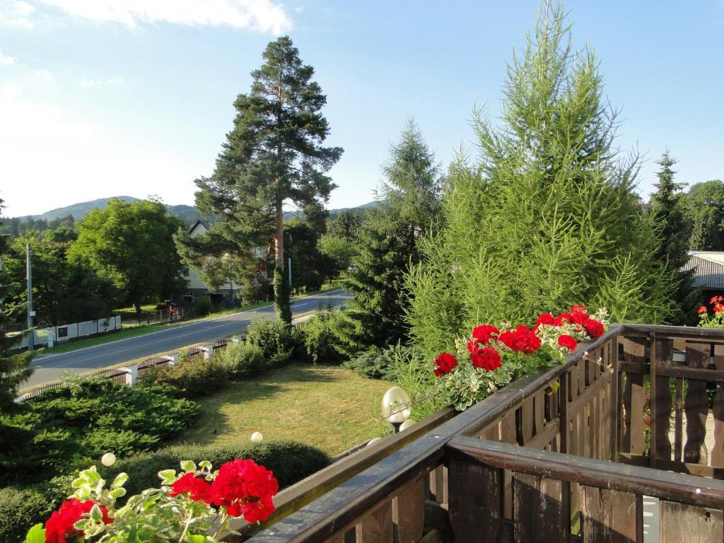 Villa Zerotin Penzion Bed & Breakfast Velké Losiny 외부 사진